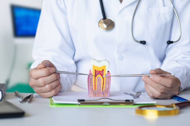 Best Emergency TMJ Treatment in Spring Glen, UT
